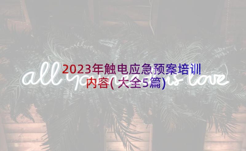 2023年触电应急预案培训内容(大全5篇)