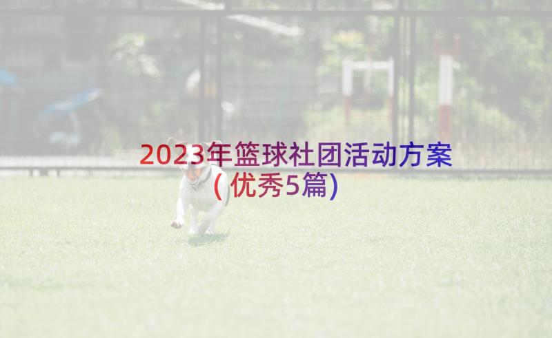 2023年篮球社团活动方案(优秀5篇)