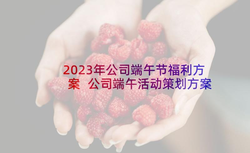 2023年公司端午节福利方案 公司端午活动策划方案(大全10篇)