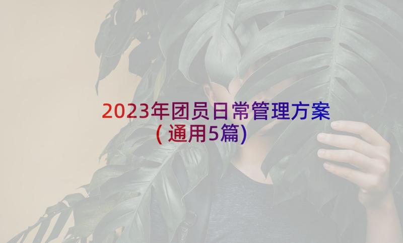 2023年团员日常管理方案(通用5篇)