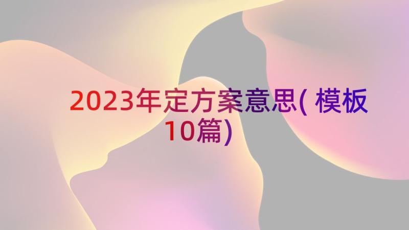 2023年定方案意思(模板10篇)