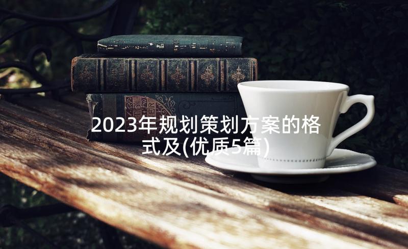 2023年规划策划方案的格式及(优质5篇)