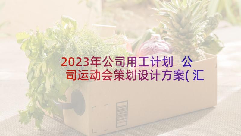 2023年公司用工计划 公司运动会策划设计方案(汇总5篇)