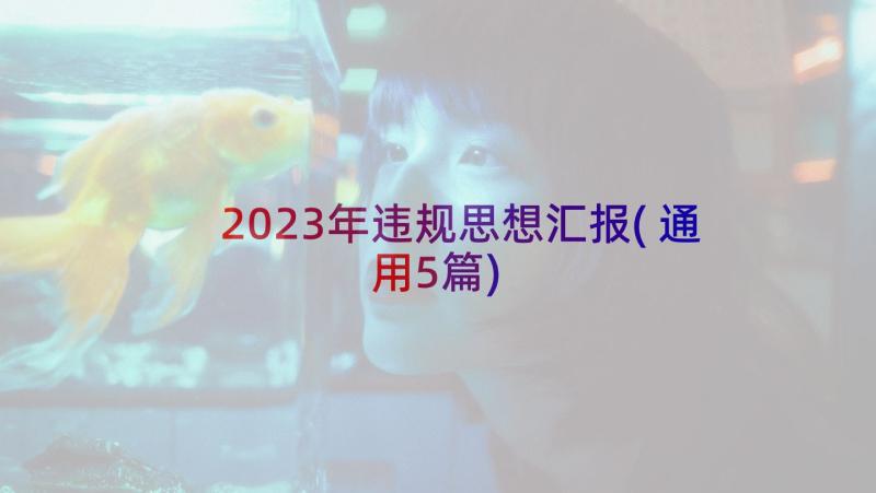 2023年违规思想汇报(通用5篇)