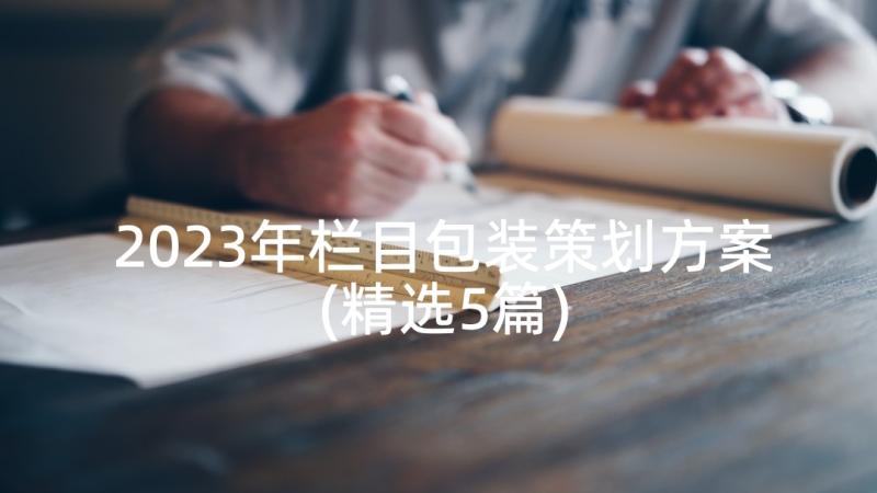 2023年栏目包装策划方案(精选5篇)