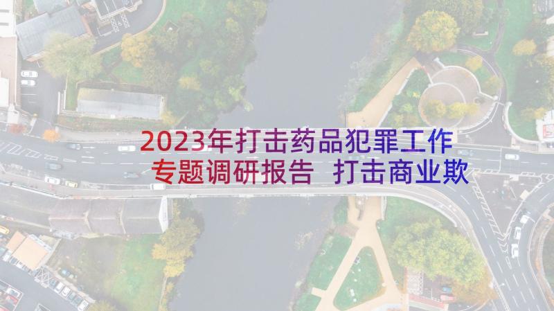 2023年打击药品犯罪工作专题调研报告 打击商业欺诈专项行动的实施方案(精选5篇)