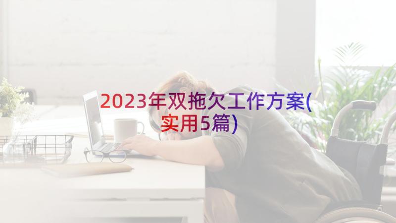 2023年双拖欠工作方案(实用5篇)