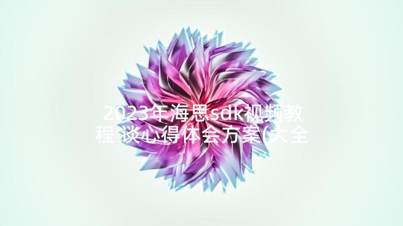 2023年海思sdk视频教程 谈心得体会方案(大全6篇)