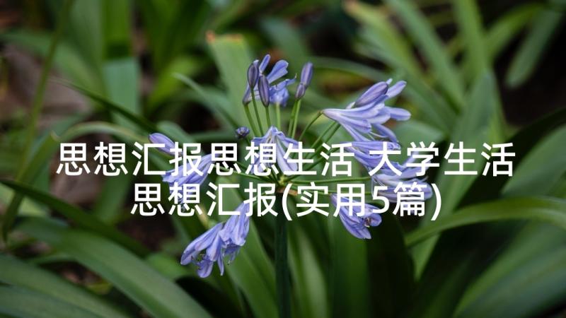 思想汇报思想生活 大学生活思想汇报(实用5篇)