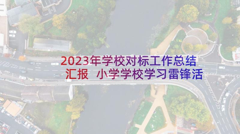 2023年学校对标工作总结汇报 小学学校学习雷锋活动方案(大全5篇)