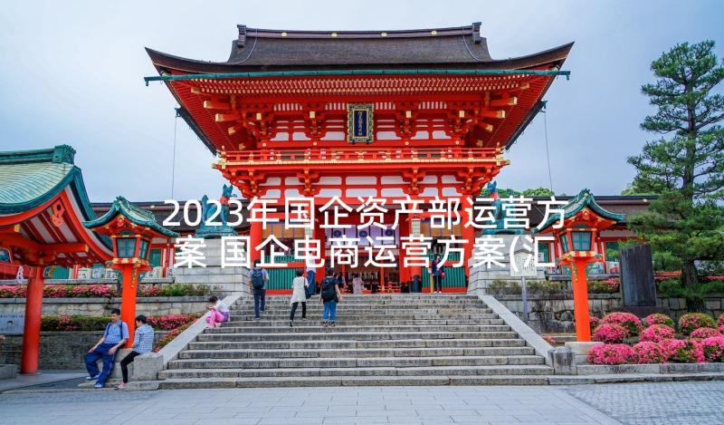 2023年国企资产部运营方案 国企电商运营方案(汇总5篇)