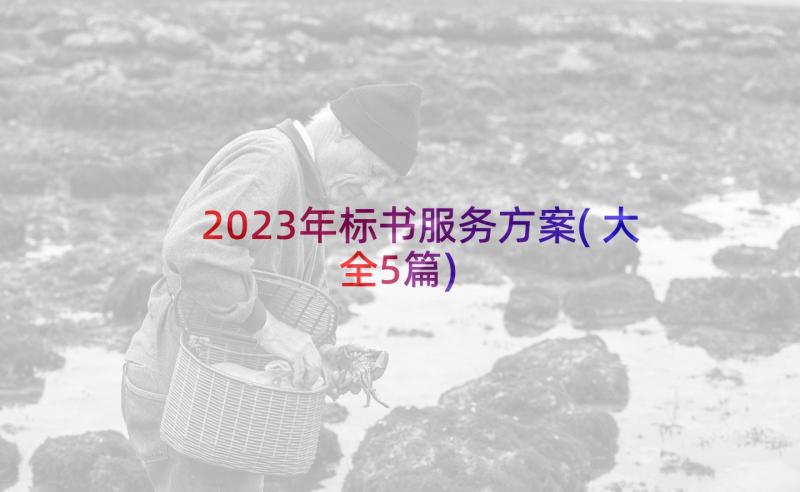 2023年标书服务方案(大全5篇)