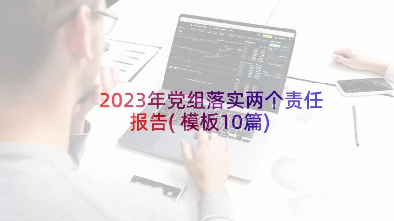 2023年党组落实两个责任报告(模板10篇)