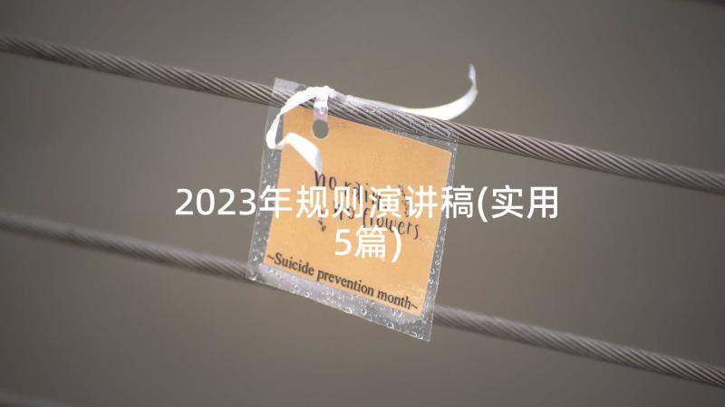 2023年规则演讲稿(实用5篇)