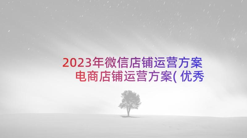 2023年微信店铺运营方案 电商店铺运营方案(优秀5篇)