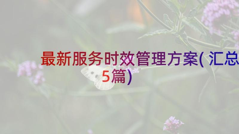 最新服务时效管理方案(汇总5篇)