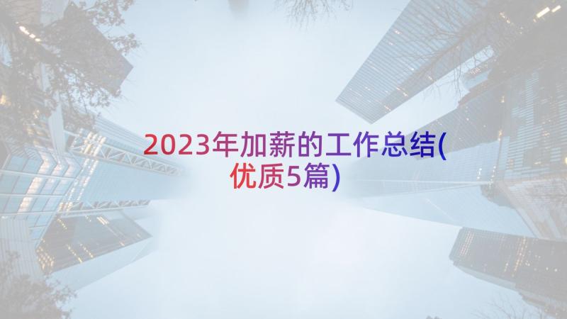 2023年加薪的工作总结(优质5篇)