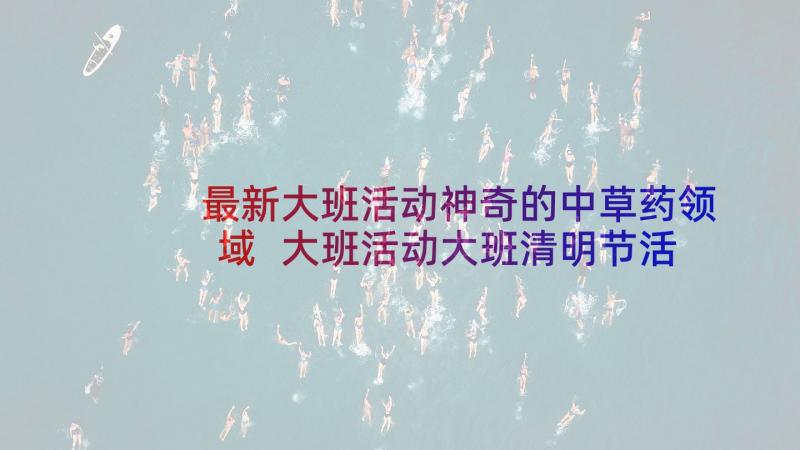 最新大班活动神奇的中草药领域 大班活动大班清明节活动方案(优质10篇)