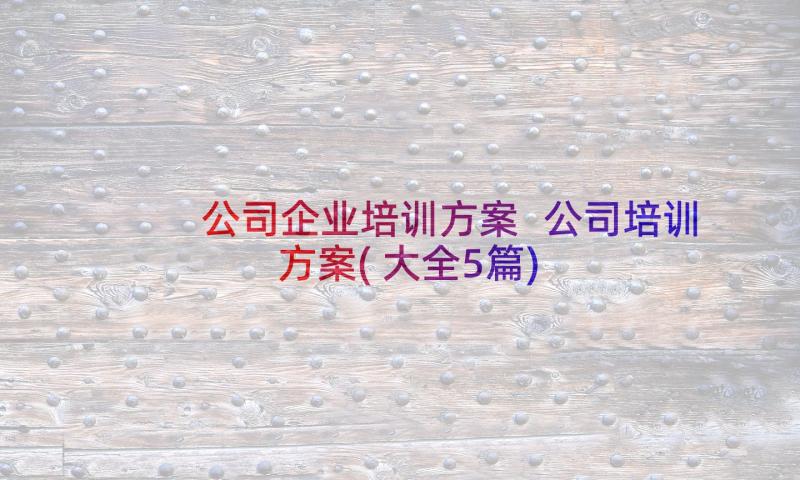 公司企业培训方案 公司培训方案(大全5篇)