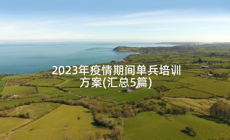 2023年疫情期间单兵培训方案(汇总5篇)