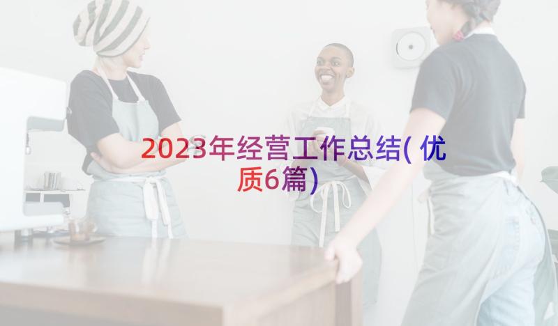 2023年经营工作总结(优质6篇)