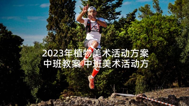 2023年植物美术活动方案中班教案 中班美术活动方案(精选9篇)