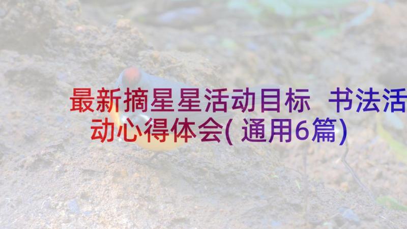 最新摘星星活动目标 书法活动心得体会(通用6篇)