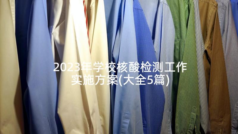 2023年学校核酸检测工作实施方案(大全5篇)