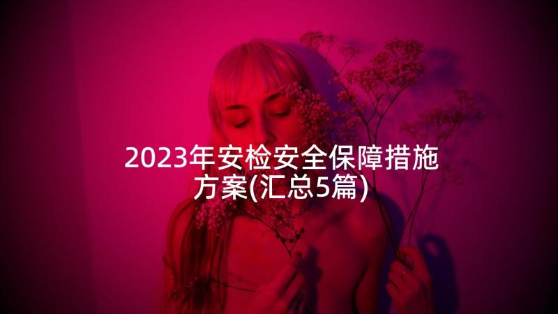 2023年安检安全保障措施方案(汇总5篇)