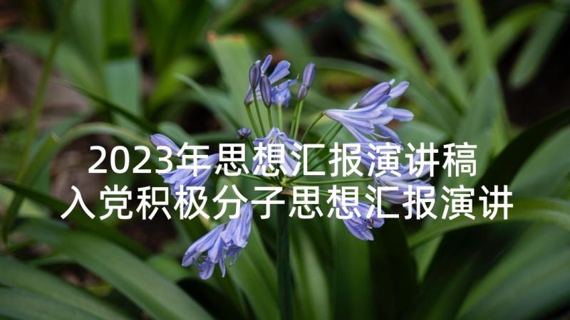 2023年思想汇报演讲稿 入党积极分子思想汇报演讲稿(模板5篇)