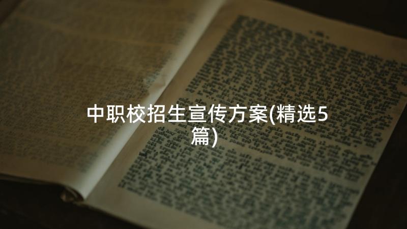 中职校招生宣传方案(精选5篇)