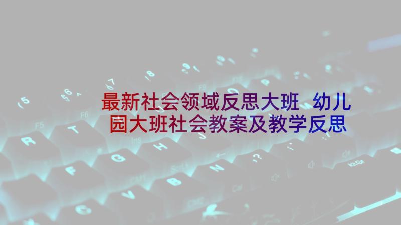 最新社会领域反思大班 幼儿园大班社会教案及教学反思亲一亲(精选5篇)