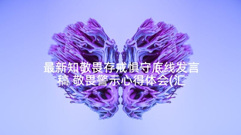 最新知敬畏存戒惧守底线发言稿 敬畏警示心得体会(汇总10篇)