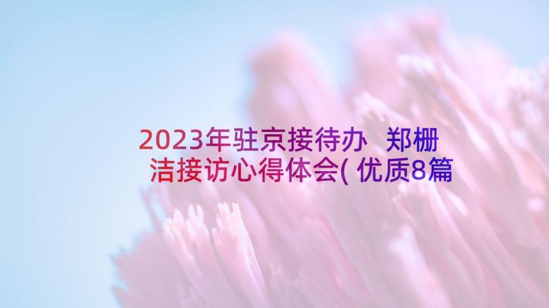 2023年驻京接待办 郑栅洁接访心得体会(优质8篇)