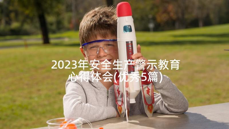 2023年安全生产警示教育心得体会(优秀5篇)