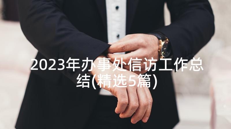 2023年办事处信访工作总结(精选5篇)