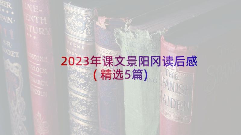 2023年课文景阳冈读后感(精选5篇)