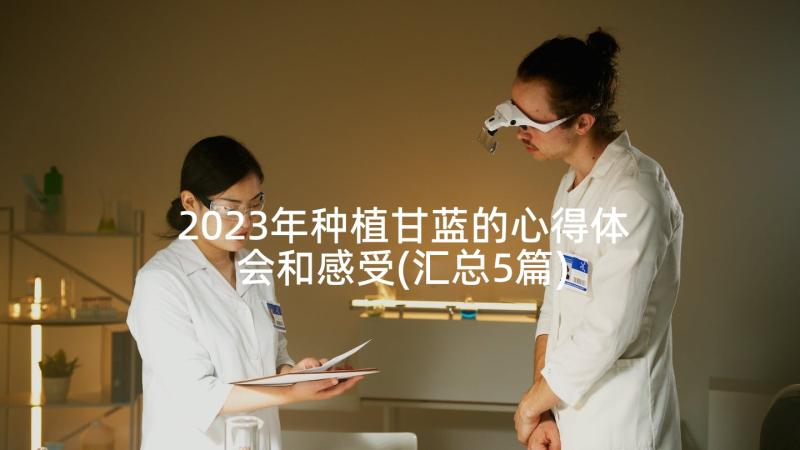 2023年种植甘蓝的心得体会和感受(汇总5篇)