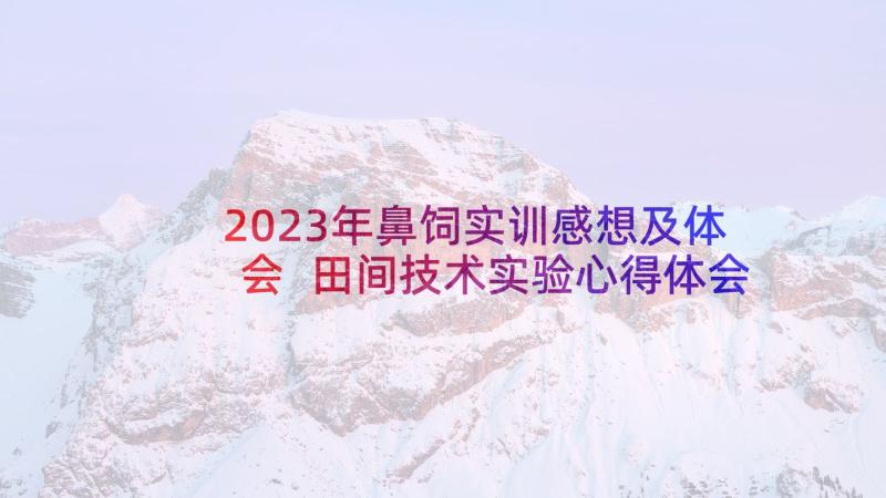 2023年鼻饲实训感想及体会 田间技术实验心得体会(模板5篇)