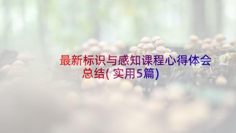 最新标识与感知课程心得体会总结(实用5篇)