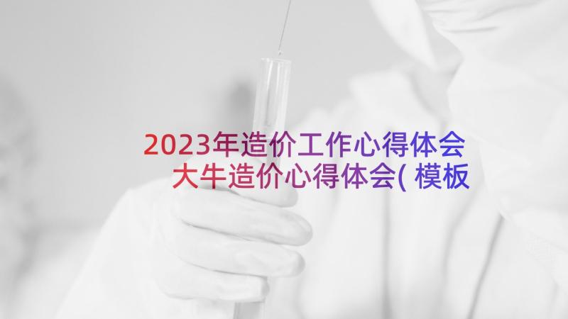 2023年造价工作心得体会 大牛造价心得体会(模板6篇)