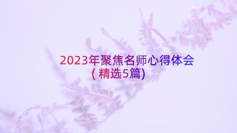 2023年聚焦名师心得体会(精选5篇)