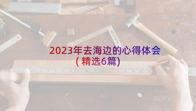 2023年去海边的心得体会(精选6篇)