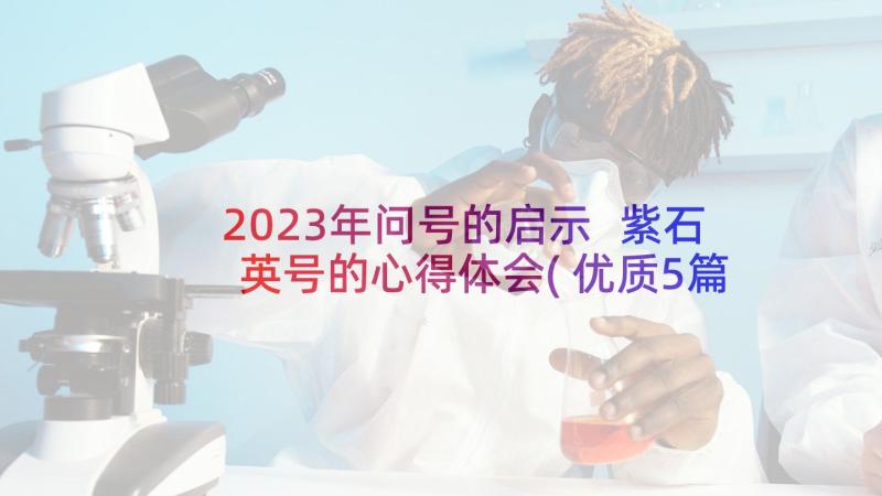 2023年问号的启示 紫石英号的心得体会(优质5篇)