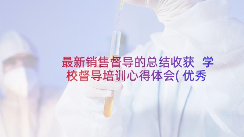 最新销售督导的总结收获 学校督导培训心得体会(优秀6篇)