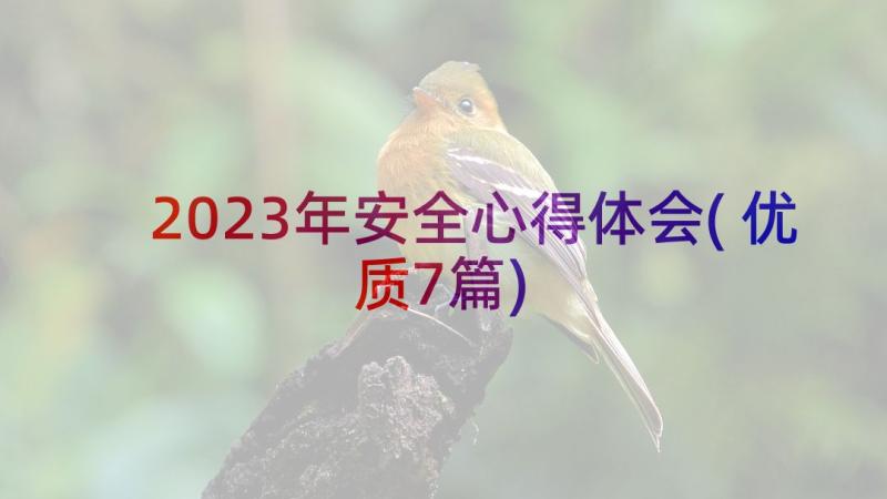 2023年安全心得体会(优质7篇)