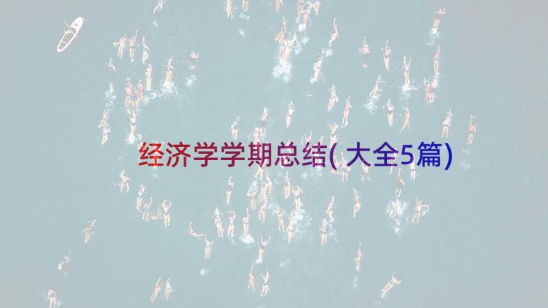 经济学学期总结(大全5篇)