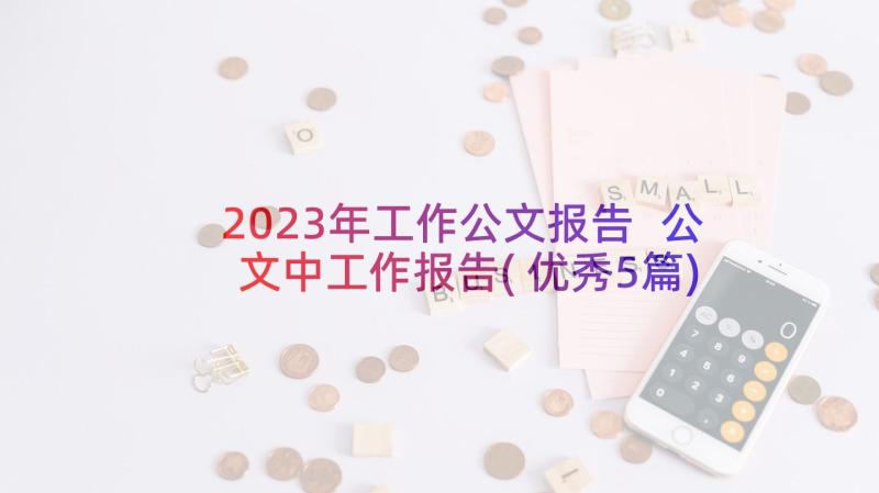 2023年工作公文报告 公文中工作报告(优秀5篇)