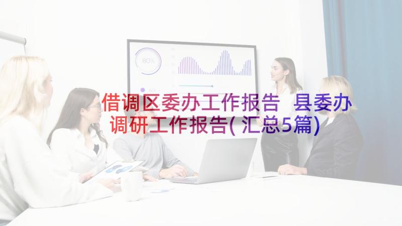 借调区委办工作报告 县委办调研工作报告(汇总5篇)