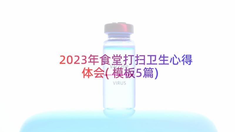 2023年食堂打扫卫生心得体会(模板5篇)